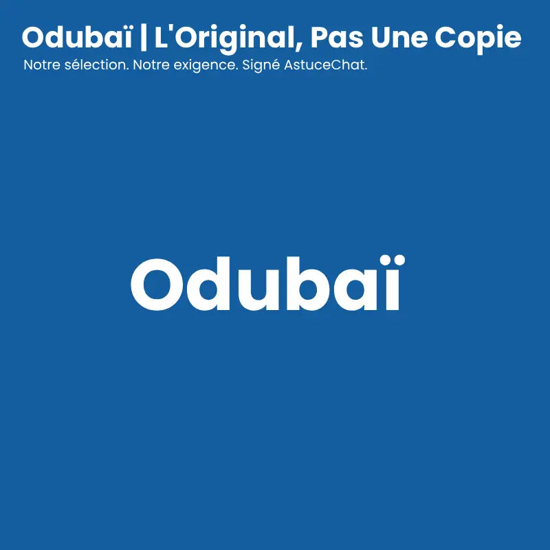 Distributeur d'eau pour chat - Odubaï : l'original - AstuceChat