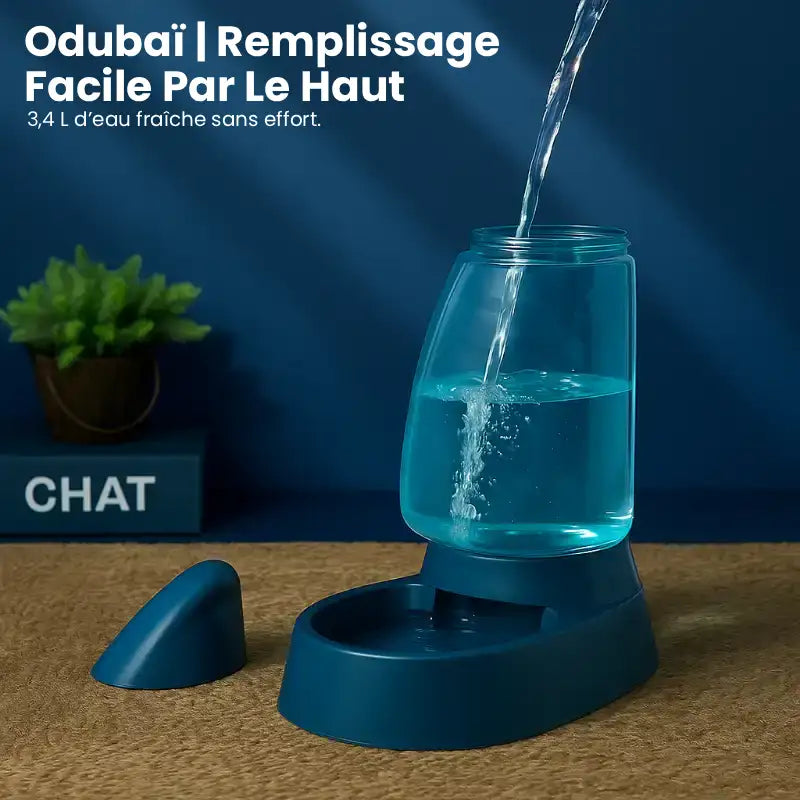Distributeur d'eau pour chat - Odubaï : remplissage - AstuceChat