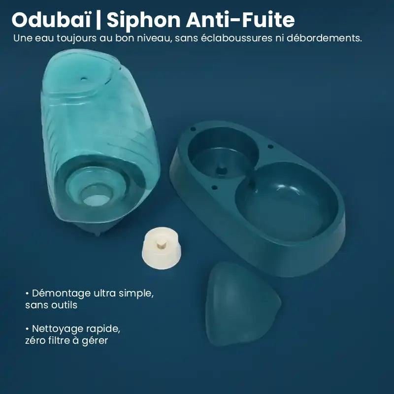 Distributeur d'eau pour chat - Odubaï : avec siphon anti-fuite - AstuceChat