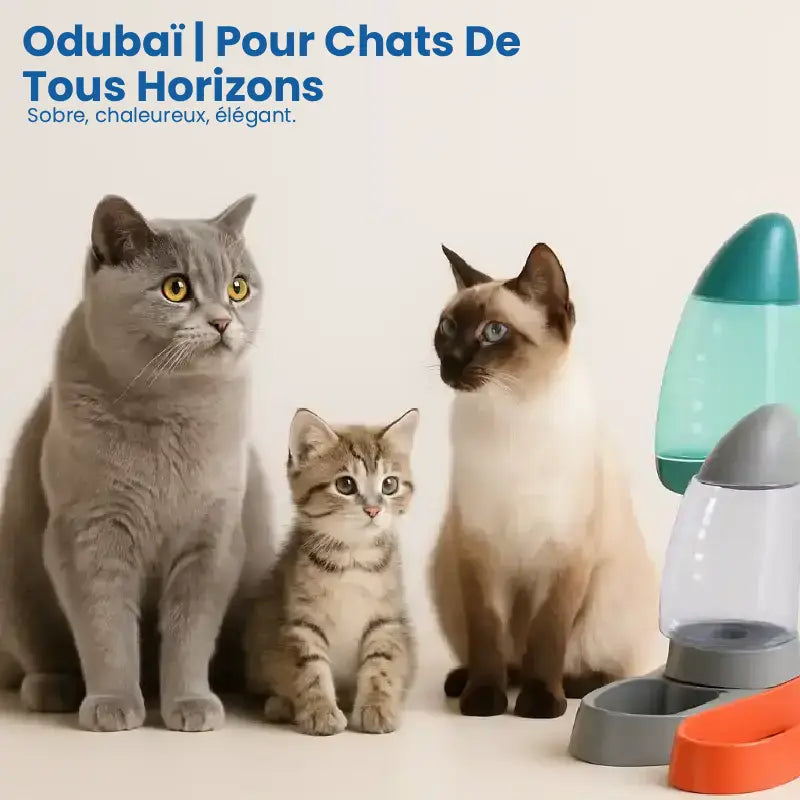 Distributeur d'eau pour chat - Odubaï : pour chats de tous horizons - AstuceChat
