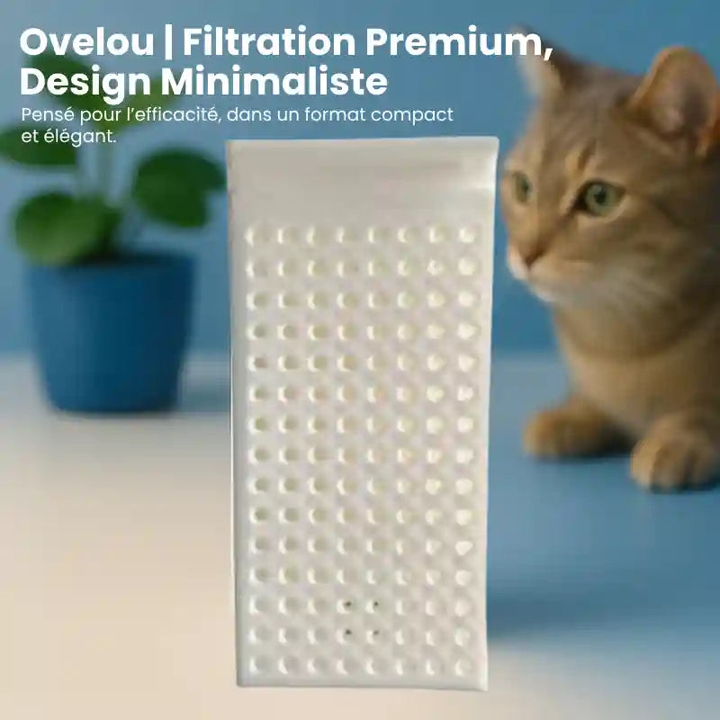 Filtre fontaine chat - Ovelou : chat observant un filtre