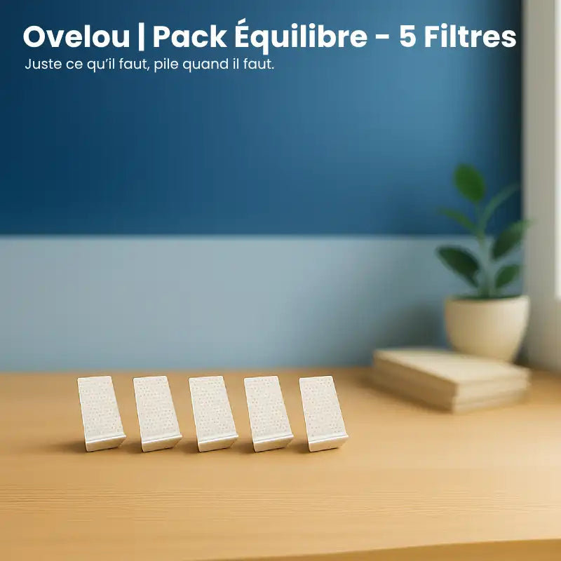 Filtre fontaine chat - Ovelou : pack 5 filtres AstuceChat