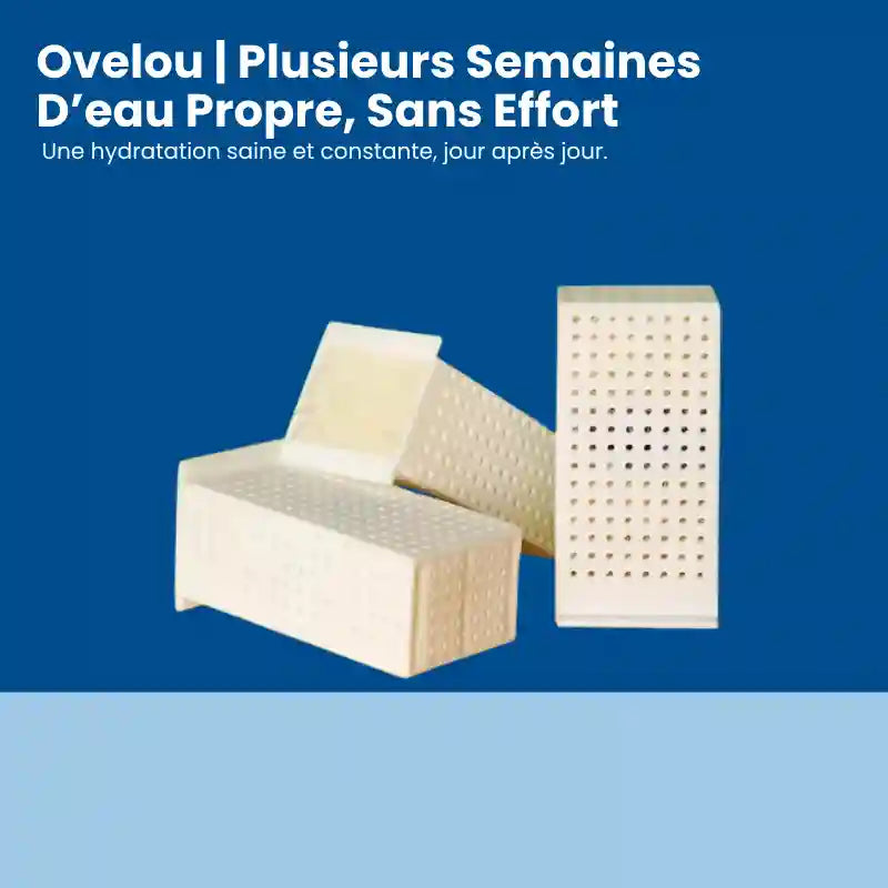 Filtre fontaine chat - Ovelou : plusieurs filtres