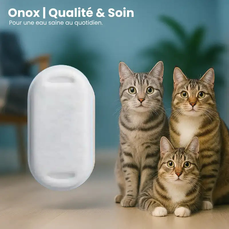 Filtre fontaine eau chats - Onox : qualité et soin, chats heureux
