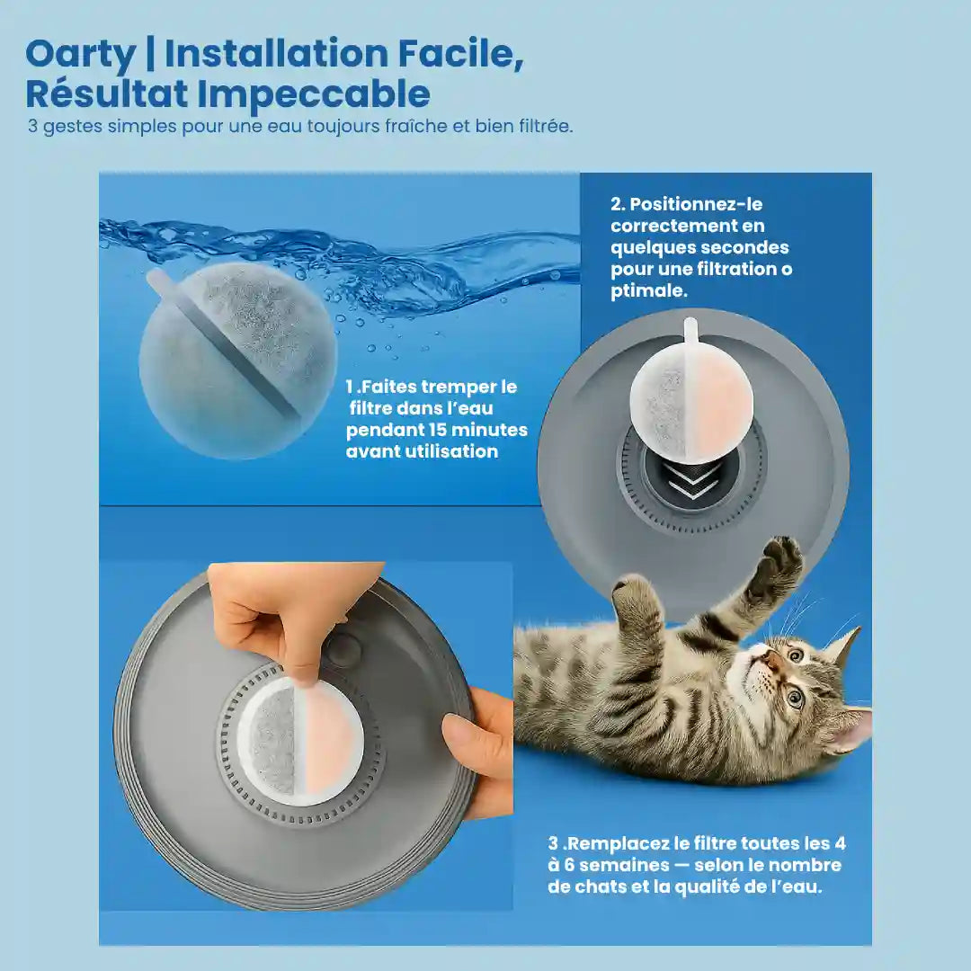 Fontaine a eau chat - Oarty : installation