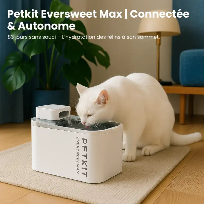 Fontaine A Eau Chat - Petkit Eversweet Max Autonome