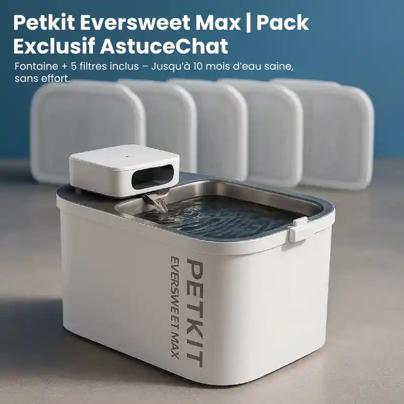 Fontaine A Eau Chat - Petkit Eversweet Max Pack AstuceChat