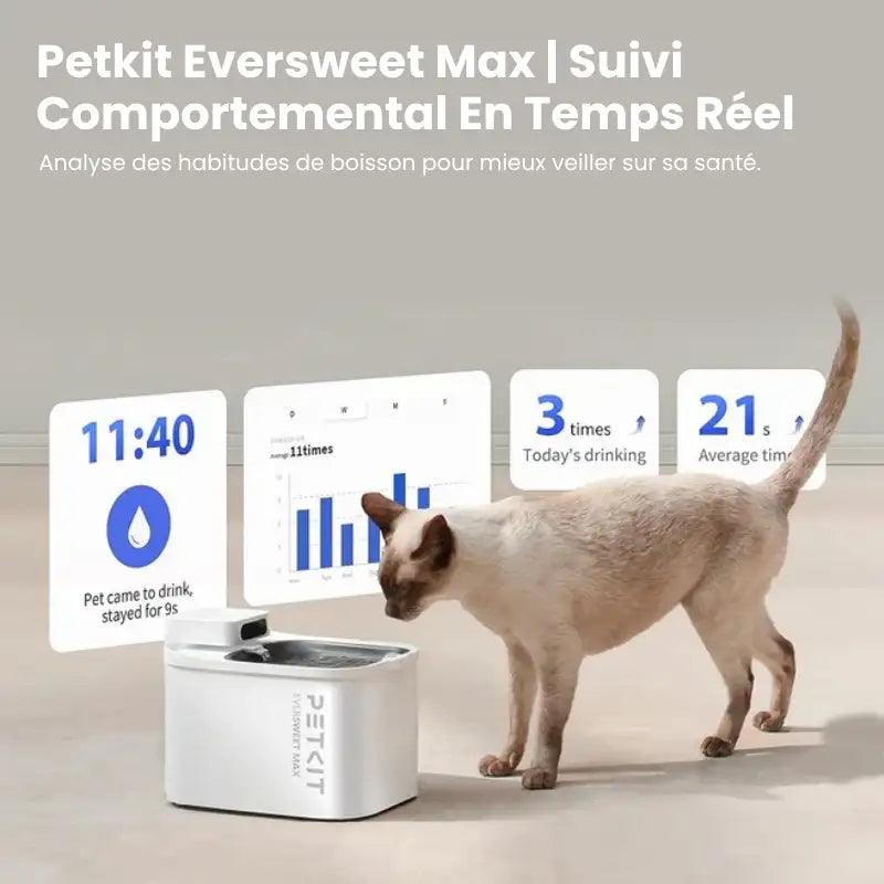 Fontaine A Eau Chat - Petkit Eversweet Max Suivi Comportemental