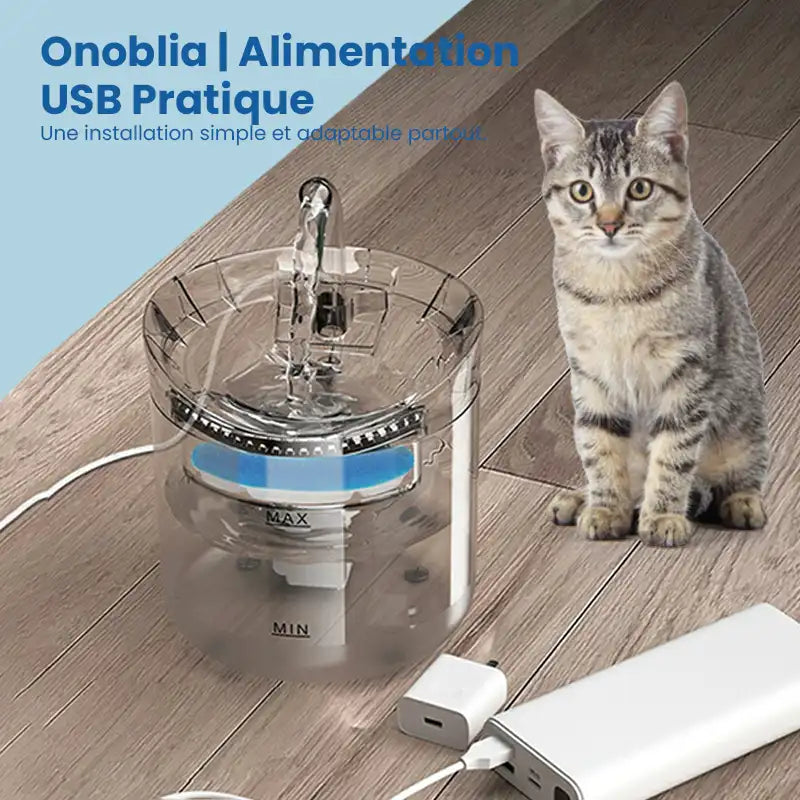Fontaine à eau pour chat | Alimentation USB