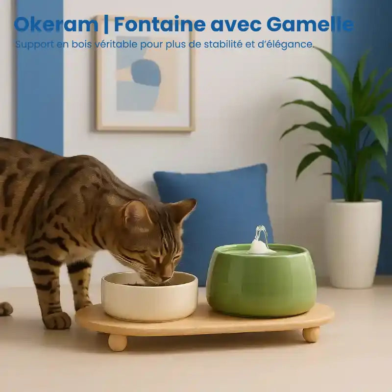 Fontaine a eau pour chat ceramique | Modèle avec gamelle