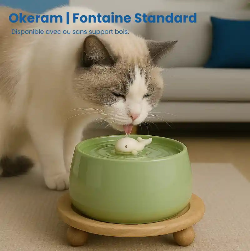 Fontaine a eau pour chat ceramique | Modèle standard