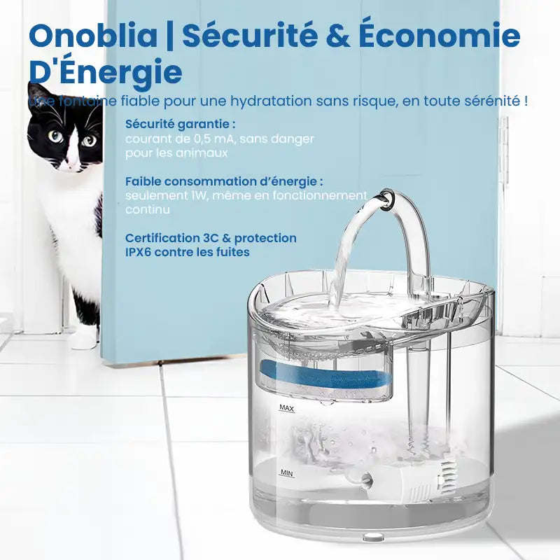 Fontaine à eau pour chat - Onoblia : sécurité - AstuceChat