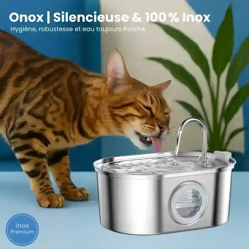 Fontaine a eau pour chat inox - Onox : 100% inox