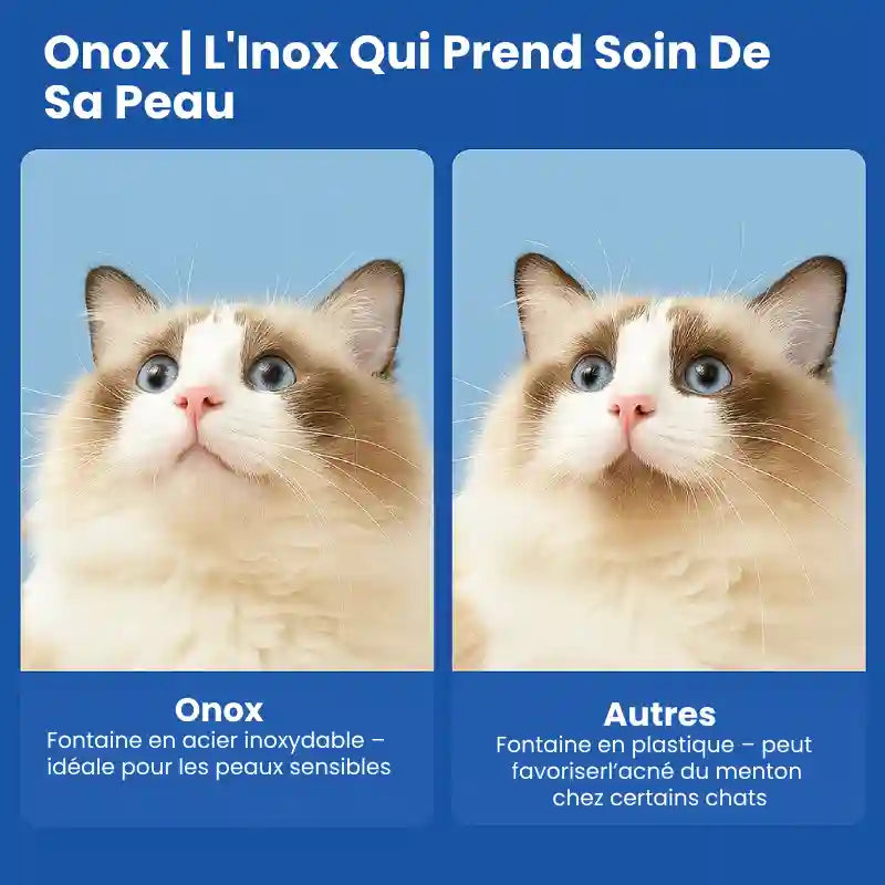 Fontaine a eau pour chat inox - Onox : bonne santé