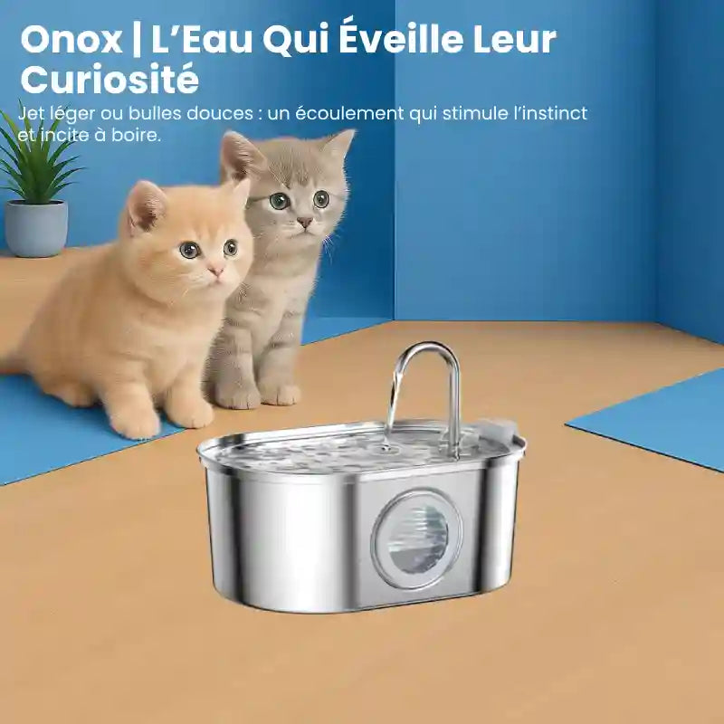 Fontaine a eau pour chat inox - Onox : éveille curiosité des chats