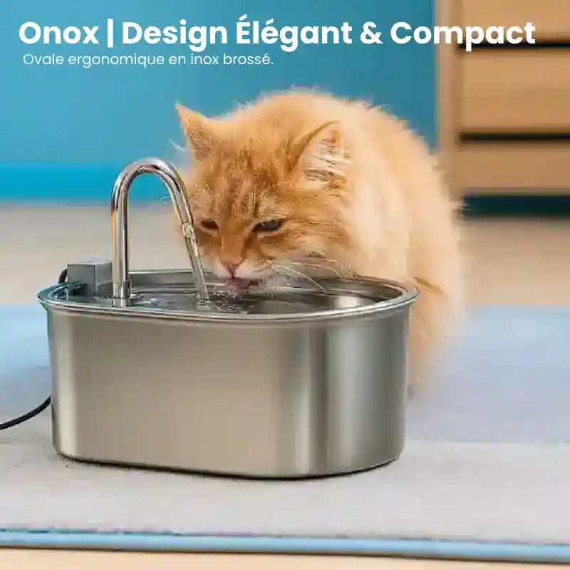 Fontaine a eau pour chat inox - Onox : design élégant