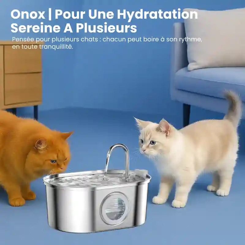 Fontaine a eau pour chat inox - Onox : hydratation sereine à plusieurs chats