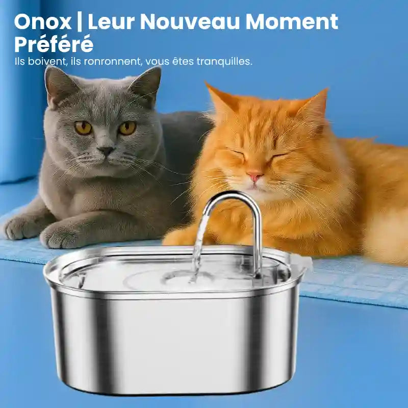 Fontaine a eau pour chat inox - Onox : leur moment préféré