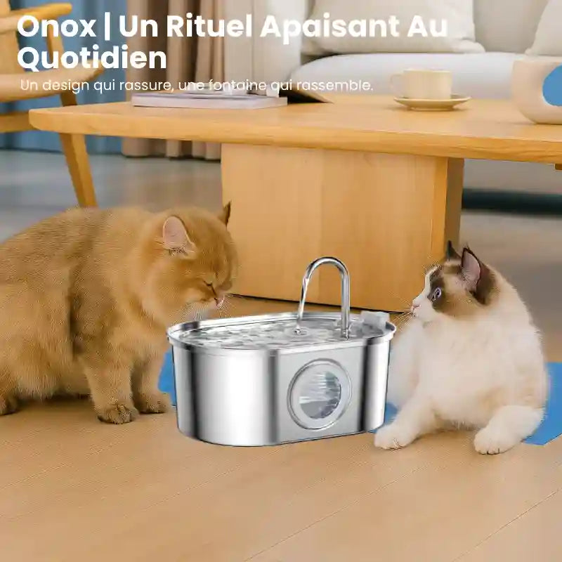 Fontaine a eau pour chat inox - Onox : rituel apaisant des chats
