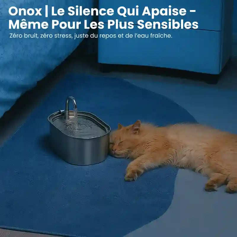 Fontaine a eau pour chat inox - Onox : silencieuse