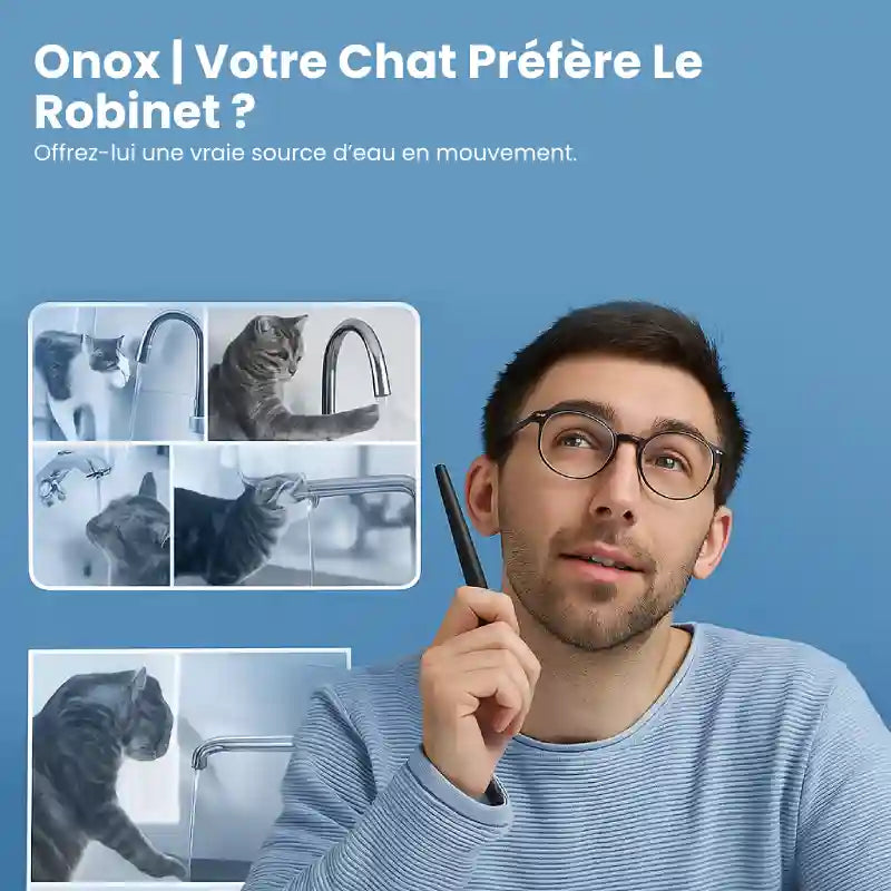 Fontaine a eau pour chat inox - Onox : chats et robinets