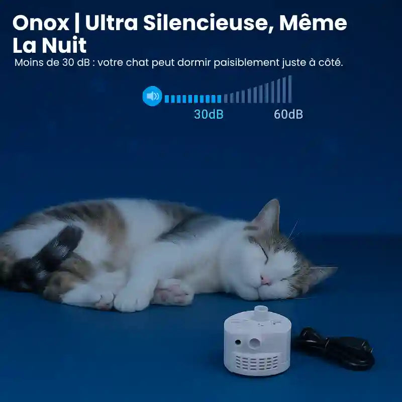 Fontaine a eau pour chat inox - Onox : ultra silencieuse