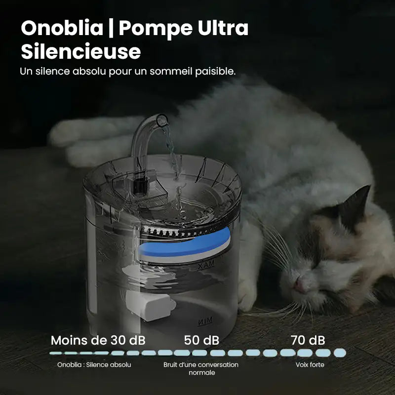 Fontaine à eau pour chat | Pompe silencieuse