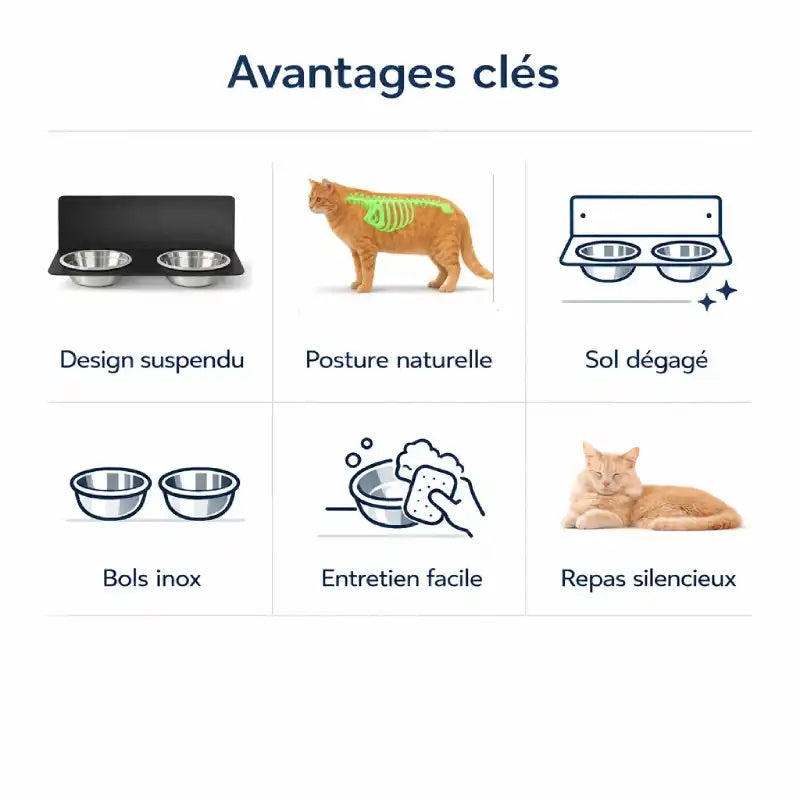 Gamelle murale chat - Gamural : avantages cles design posture sol degage entretien - AstuceChat