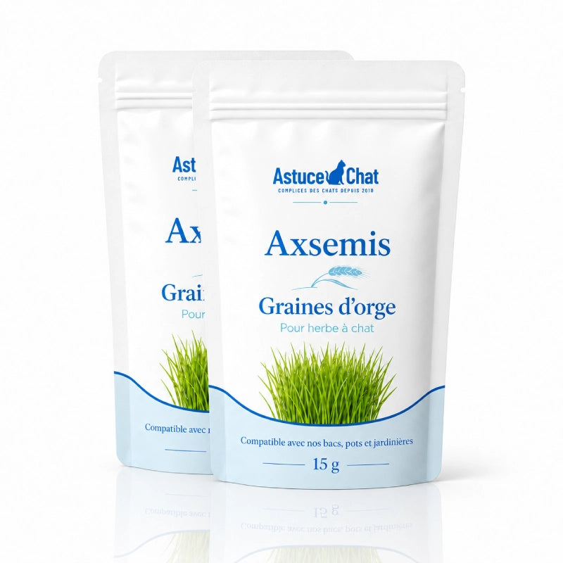 Graine herbe a chat - Axsemis : duo lot de deux sachets - AstuceChat