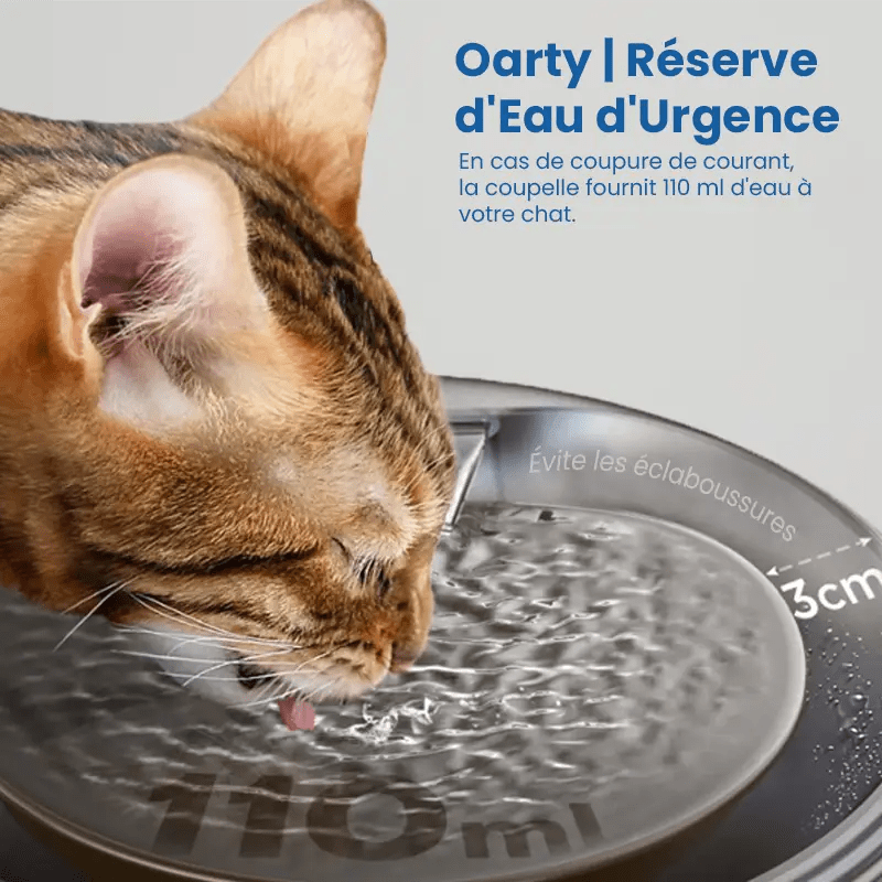 oarty fontaine a eau chat boit