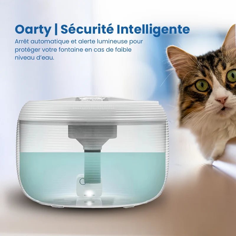 oarty fontaine a eau chat sécurité intelligente