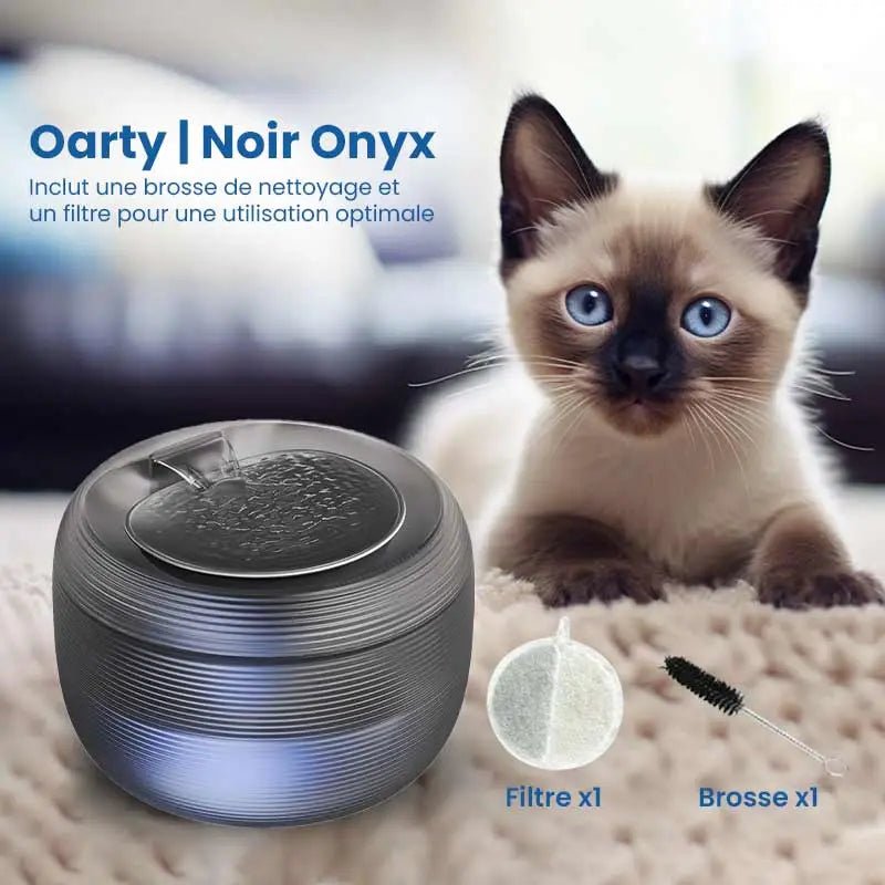 oarty noir fontaine a eau chat