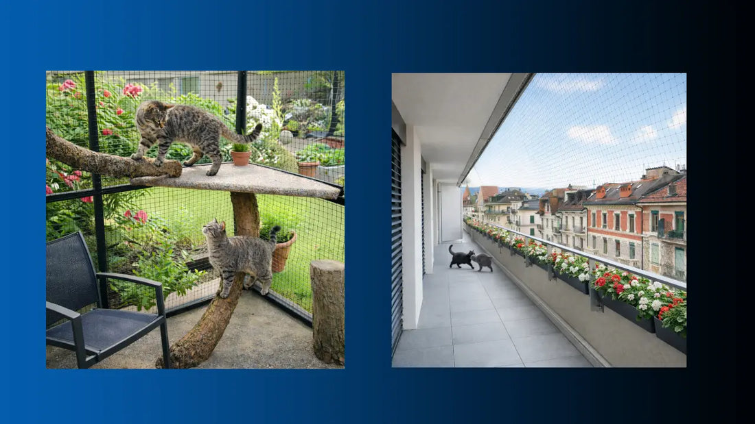 Catio – Filet balcon – Module catio