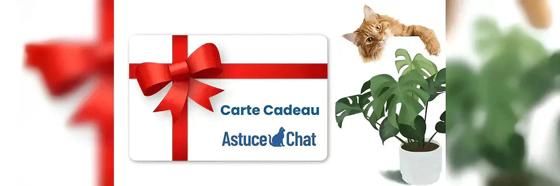 Cadeau pour chat | Carte