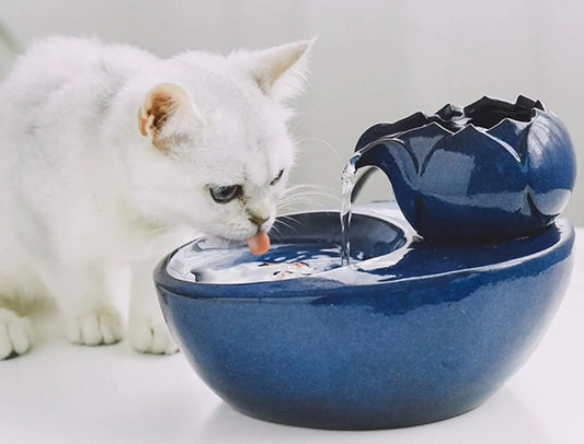 Fontaine a chat bleue