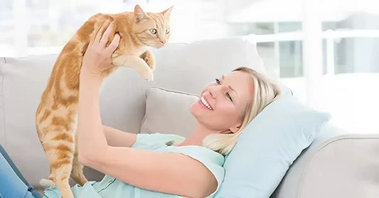 Signes d'un Chat en Forme | Comment les Identifier Facilement - AstuceChat