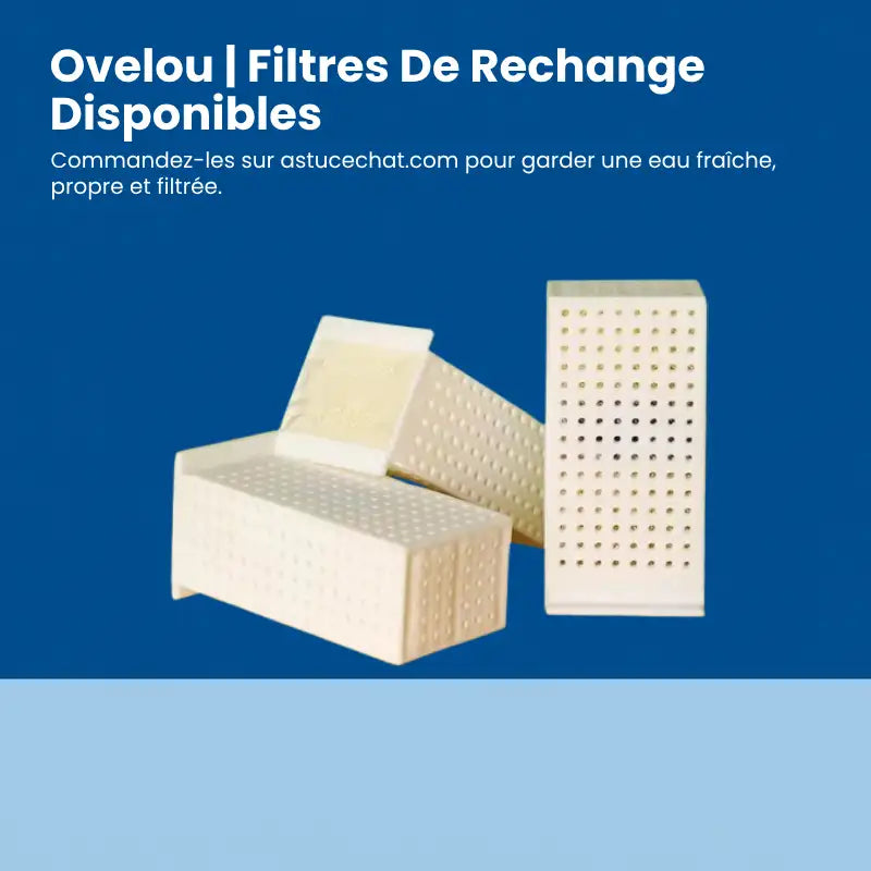 Fontaine eau chat › Ovelou