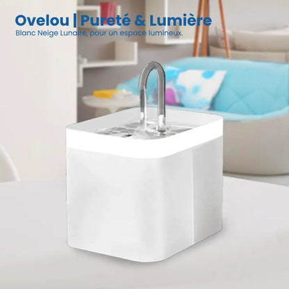 Fontaine eau chat › Ovelou
