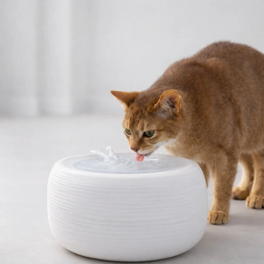 Fontaine à eau chat silencieuse › Oarty