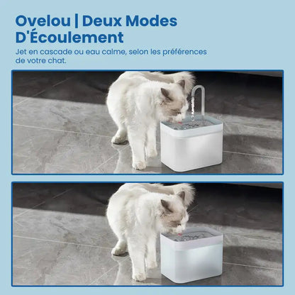 Fontaine eau chat › Ovelou
