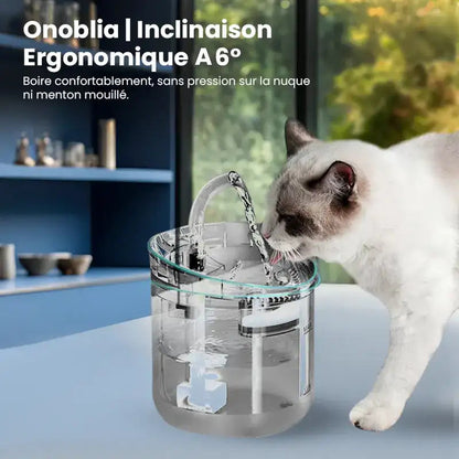 Fontaine a eau pour chat › Onoblia