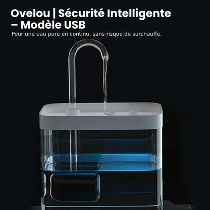 Fontaine eau chat › Ovelou