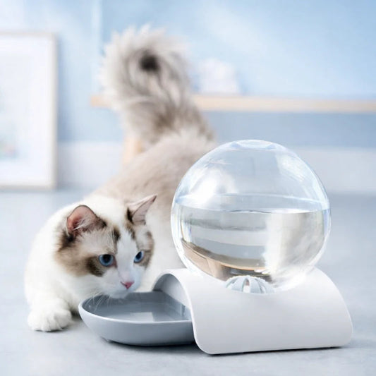 Distributeur eau pour chat › Oline