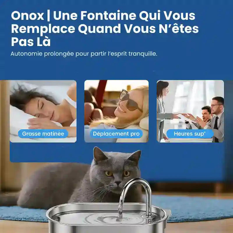 Fontaine a eau pour Chat inox › Onox