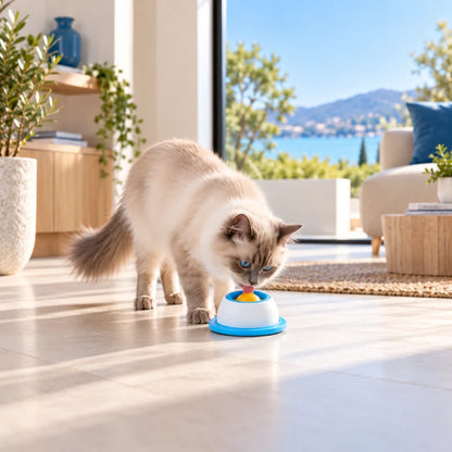 Bol anti glouton chat - Galang Bleu Horizon utilisé par un chat Ragdoll dans un intérieur lumineux - AstuceChat