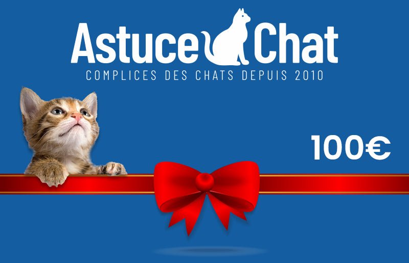Cadeau chat - carte cadeau 100 euros - AstuceChat