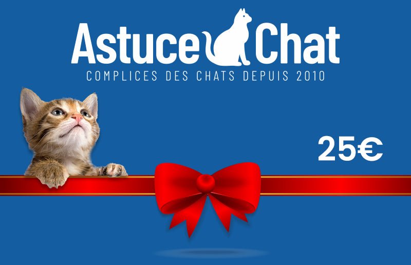 Cadeau chat - carte cadeau 25 euros - AstuceChat
