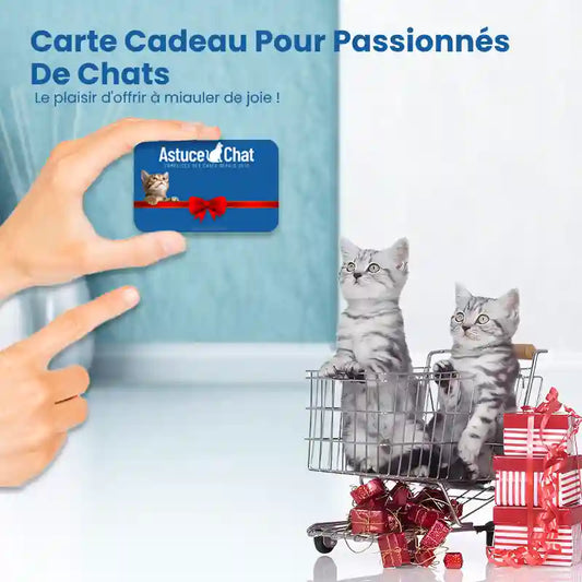 Cadeau pour chat - carte cadeau pour passionnés - AstuceChat