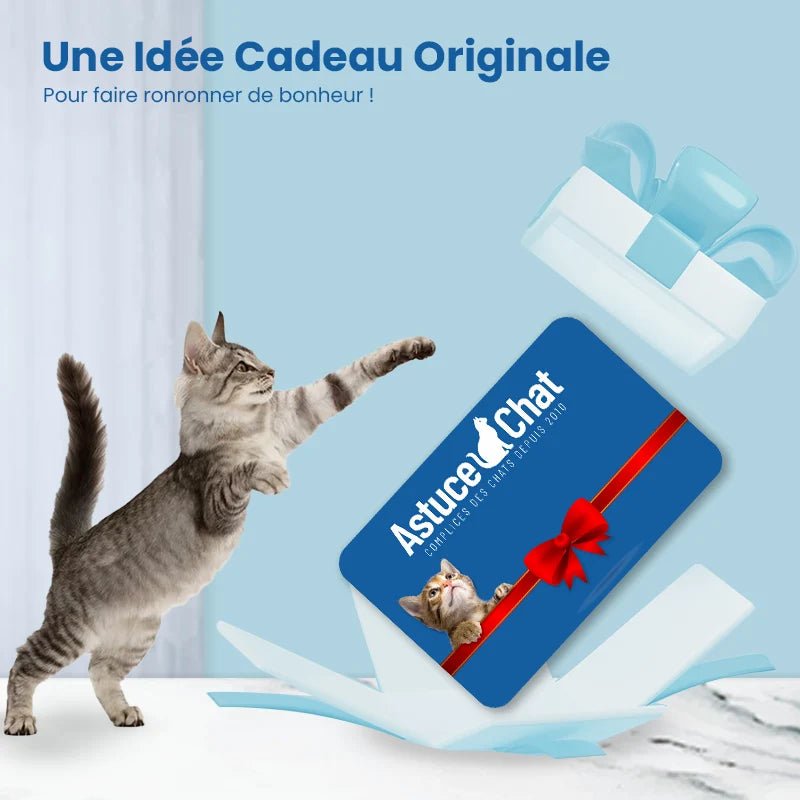 Carte cadeau pour chat - AstuceChat