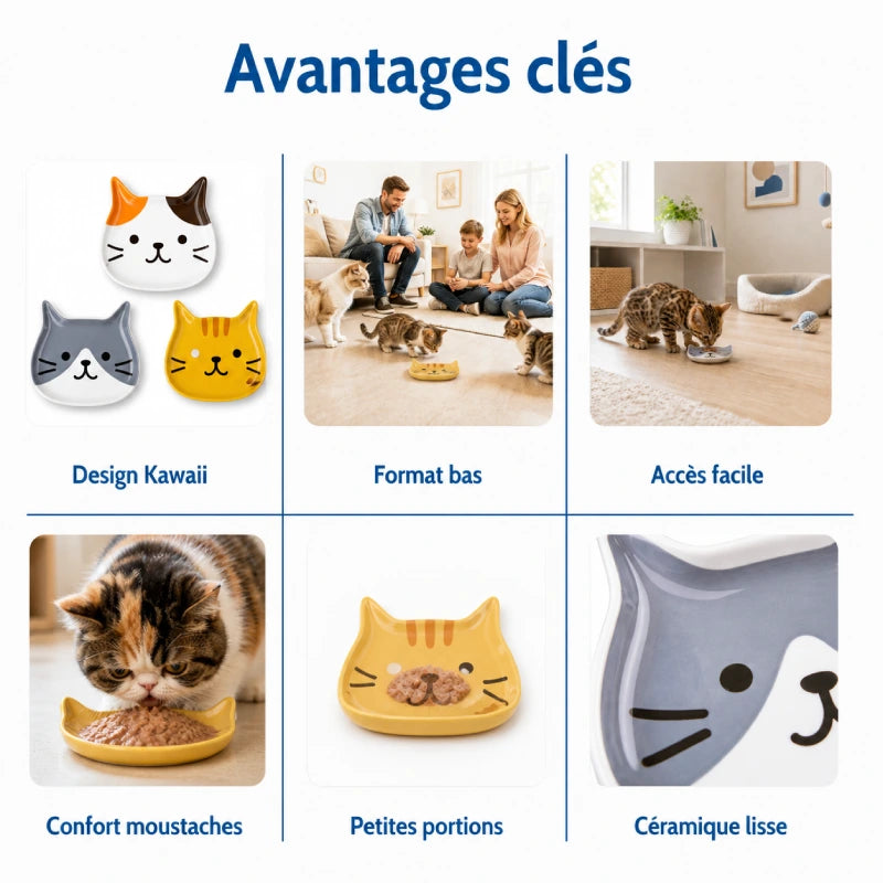 Chaton gamelle Kawaii Fuku Fuku Nyanko - Gacoupe : avantages clés du produit - AstuceChat